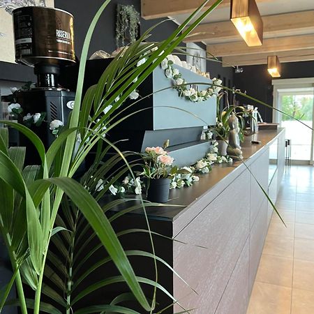 Bed & Breakfast La Rondinella Cerasolo Екстериор снимка