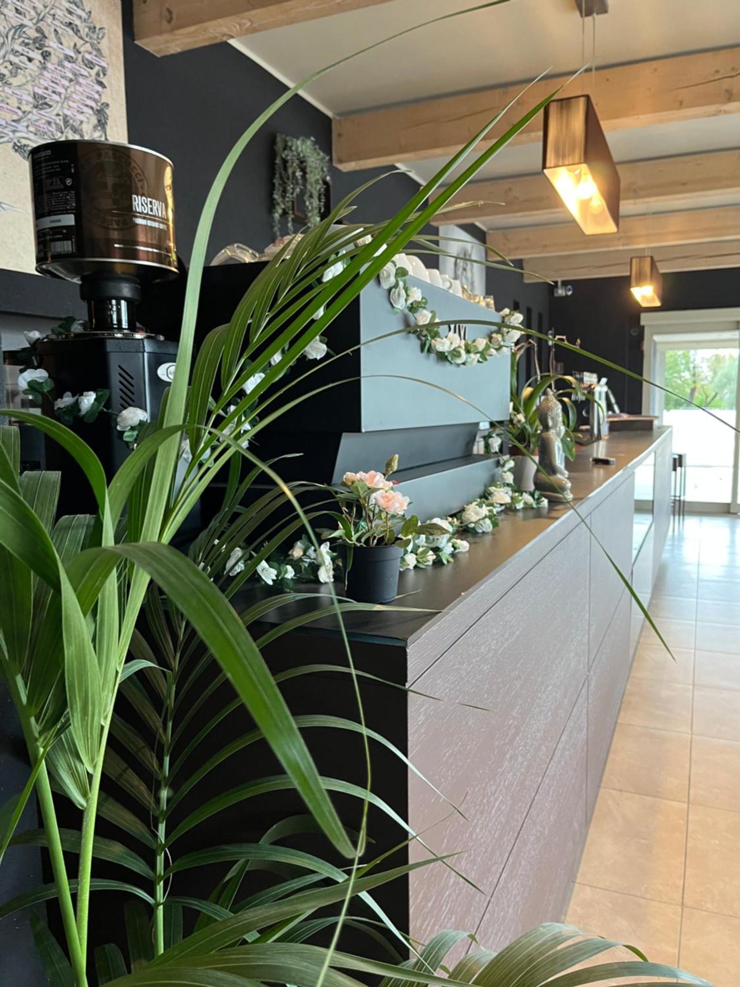 Bed & Breakfast La Rondinella Cerasolo Екстериор снимка