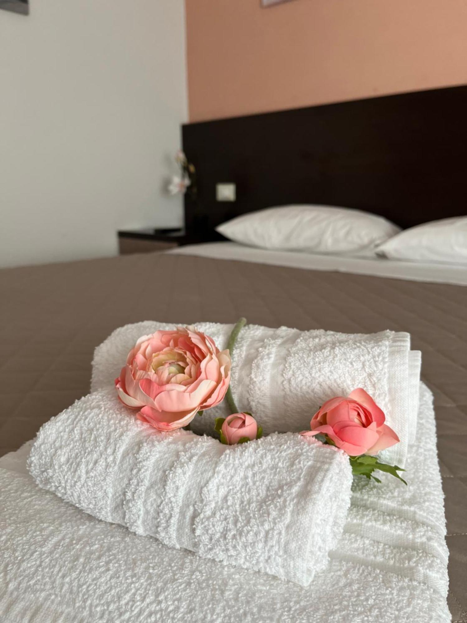 Bed & Breakfast La Rondinella Cerasolo Екстериор снимка